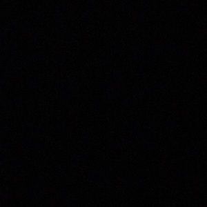 Meet your Posher, Trent